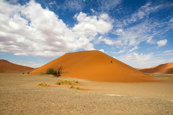 Sossusvlei пустелі, dune 45, Намібія - Фото, зображення