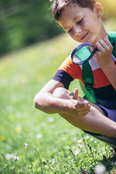 虫眼鏡をかけた牧草地で自然を探索する少年 - 写真・画像