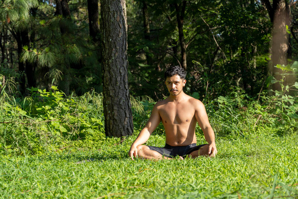 hispano y latino, meditando en medio de un bosque, recibiendo rayos de sol, piel marrón, mexico latin america - Foto, Imagen