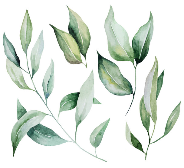 Zelené akvarelové větvičky s listovými ilustracemi. Zahradní izolovaný prvek pro letní svatební a party design, blahopřání a řemeslnou výrobu - Fotografie, Obrázek