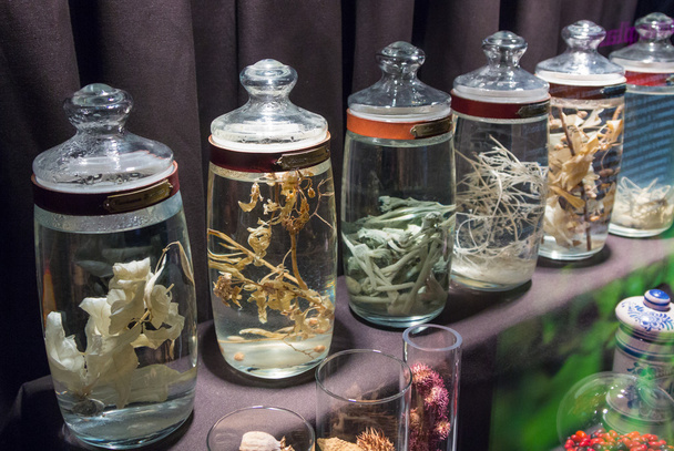 szklane słoiki z ziołami na ukąszenia żmii - Zdjęcie, obraz