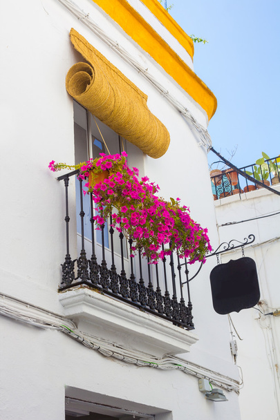 Typical windows with grilles and decorative flowers in the city  - Photo, Image