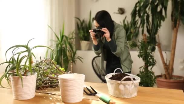 Vrouwelijke fotograaf neemt foto van de transplantatie van Crassula plant in een nieuwe pot thuis, Herbeplanting van de plant in de pot Hobby 's en vrije tijd, Concept van huis tuin, kas, Biophilia ontwerp. - Video