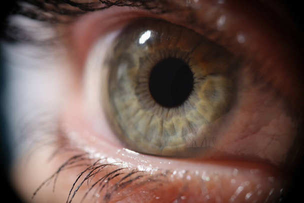 Macro photo of a female green eye, close-up. Healthy retina, lens selection, open look. Permanent makeup - 写真・画像