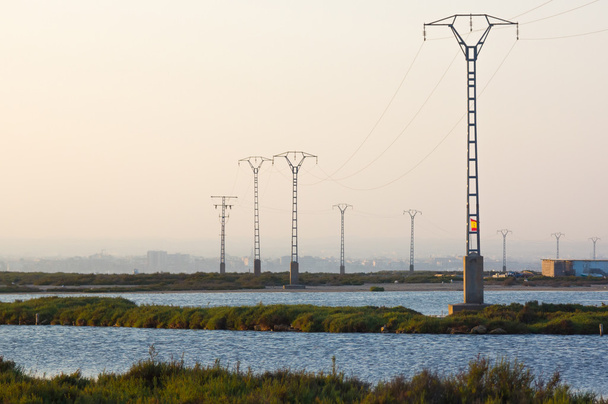 torres elétricas sobre uma área pantanosa
 - Foto, Imagem
