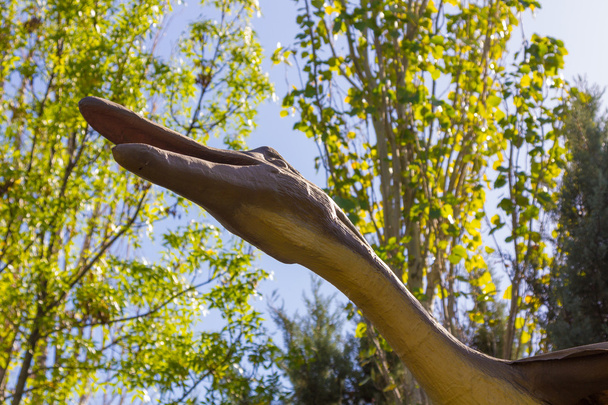 flying Pteranodon dinosaur carnivore - Photo, image