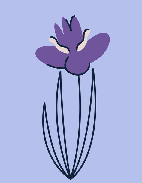 Iris im Doodle-Stil. Schöne Gartenblume. - Vektor, Bild
