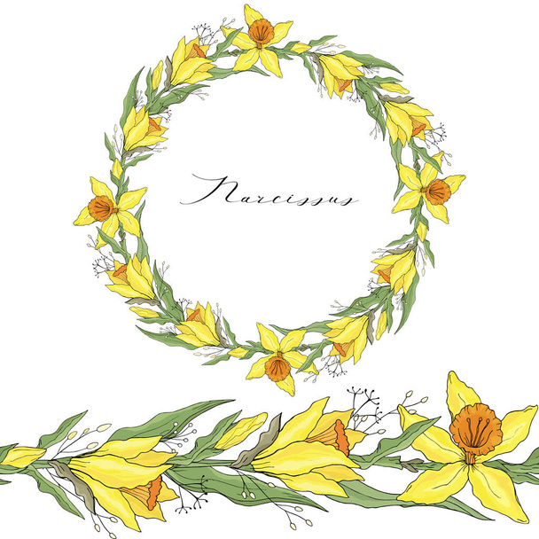 Narcissus wreath isolated on white background. Vector hand drawn floral elements background. For cards, invitations, save the date cards - Вектор, зображення