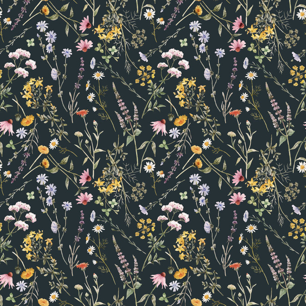 Beautiful vector floral seamless pattern with watercolor summer wild field flowers. Stock illustration. - Vetor, Imagem