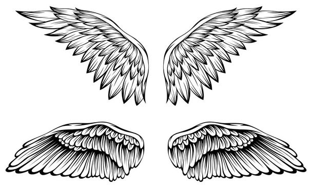 Bird wings vector illustration tattoo style. Hand drawn design element. - Vector, afbeelding