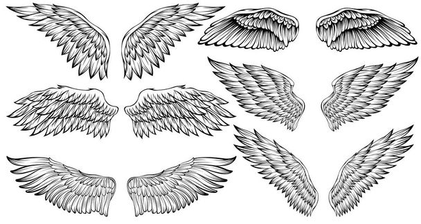 Ptasie skrzydła wektor ilustracji styl tatuażu. Ręcznie rysowany element projektu. - Wektor, obraz