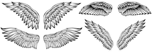 Пташині крила векторна ілюстрація стилю татуювання. Ручний намальований елемент дизайну
. - Вектор, зображення