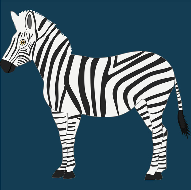 An Isolated Zebra Vector Illustration Graphic - Vector, Image