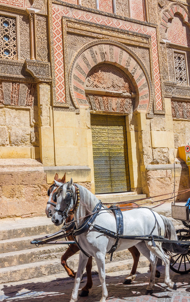 koně na staré straně brány na velkou mešitou Cordoba, Sp - Fotografie, Obrázek