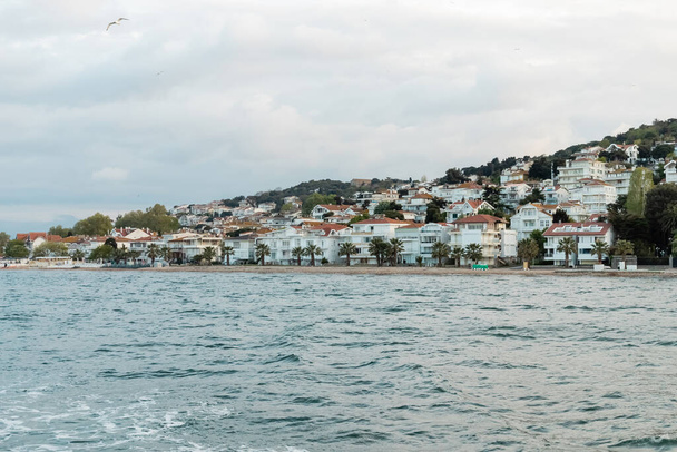 Дикая чайка пролетает над современными турецкими домами и берегом моря на островах принцесс - Фото, изображение