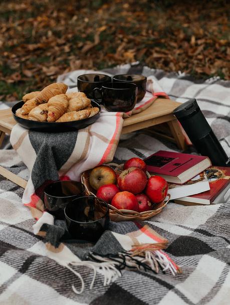 Autumn picnic set, apples, books, croissants and warm tea - 写真・画像