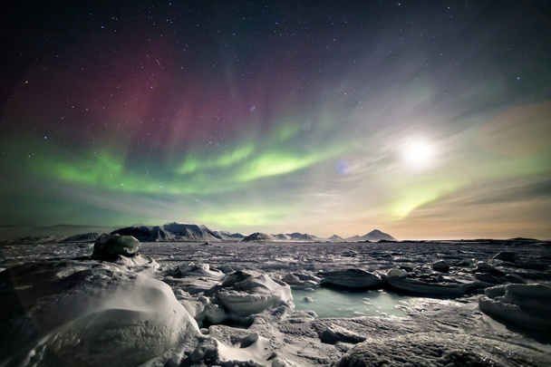 北極圏のスピッツ ベルゲン、スバールバル諸島で極夜 - 写真・画像