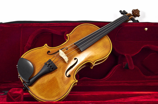 Italiaanse houten viool in geval vak - Foto, afbeelding