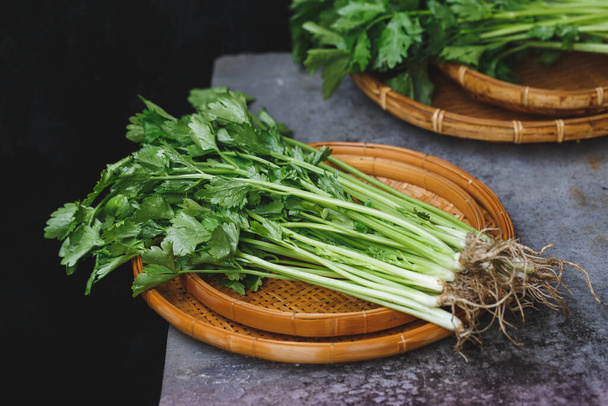 Fresh celery leaves- Spice for cooking  - Foto, Bild