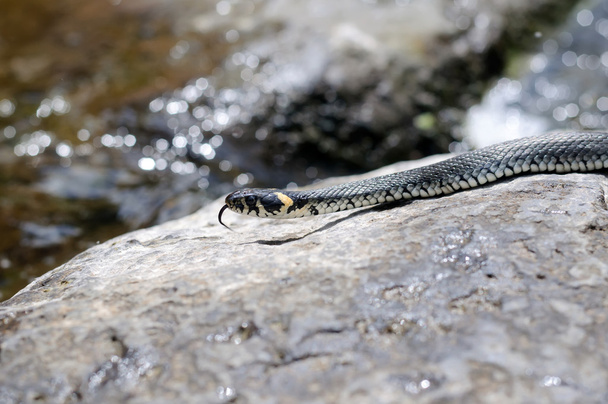 had na kámen - Fotografie, Obrázek