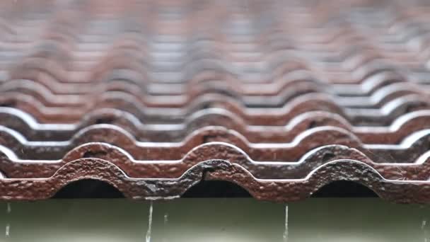 Krople deszczu spadające na Cegła dach - Materiał filmowy, wideo