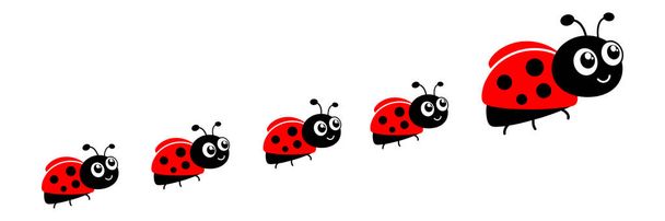 Ladybug cute character set. Red tiny ladybirds group. Vector isolated on white. - Vetor, Imagem