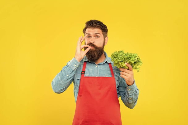 Happy man in apron licking finger holding fresh leaf lettuce yellow background, greengrocers. - 写真・画像