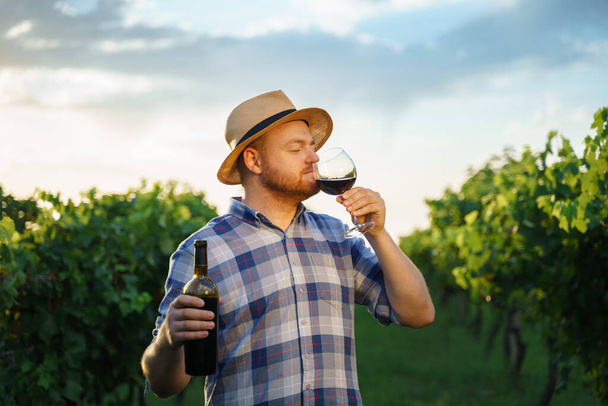 Autentyczne ujęcie udanego męskiego winiarza smakuje smakiem i sprawdza jakość czerwonego wina wlanego w przezroczyste szkło na tle winnic o zachodzie słońca. Wysokiej jakości zdjęcie - Zdjęcie, obraz
