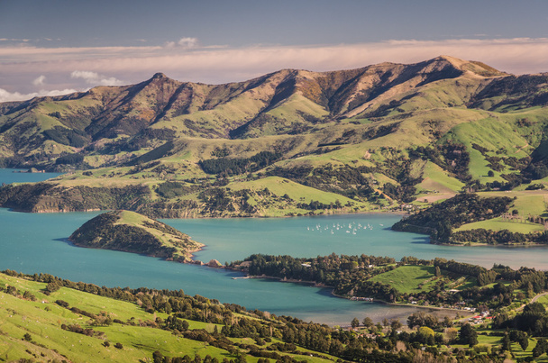 Незаймані пейзажі Нової Зеландії - Фото, зображення