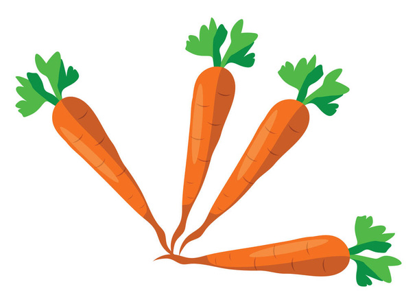 Зрізати моркву, ілюстрацію, вектор на білому тлі
. - Вектор, зображення