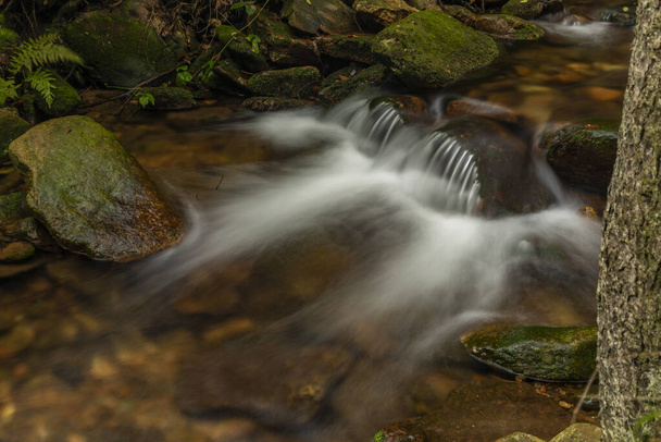 Ztracený potok u vrchu Smrk v Jizerských horách na podzim svěží zataženo - Fotografie, Obrázek