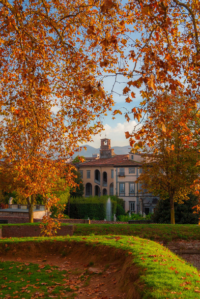 Otoño y follaje en Lucca. Vista romántica de las murallas de la ciudad parque con hojas otoñales - Foto, Imagen