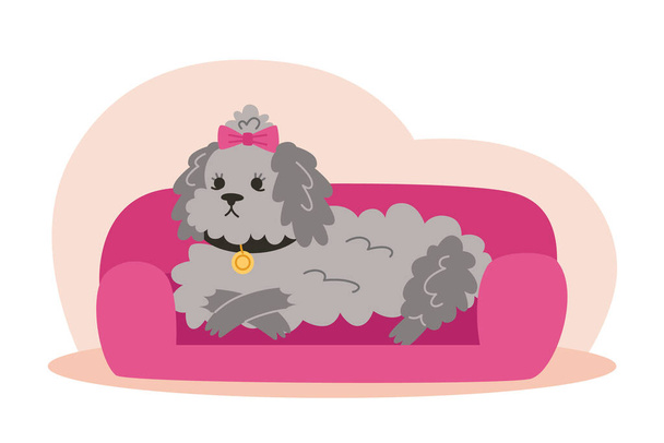 Curly koira makaa lemmikkieläinten sänky kuvitus tasainen tyyli - Vektori, kuva