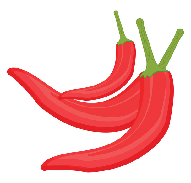 Chilli peppers, illustration, vector on a white background. - Vector, Image
