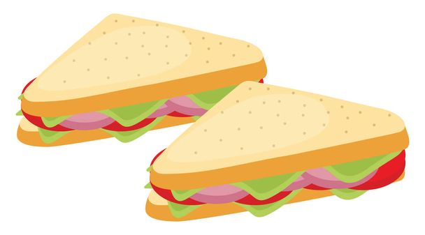 サラダ、イラスト、白い背景のベクトル付きの2つのサンドイッチ. - ベクター画像