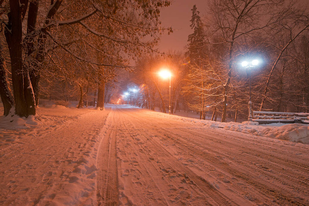 Park. Evening. Winter. Kyiv - Fotoğraf, Görsel