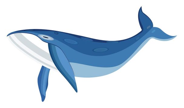 Blue whale, illustration, vector on a white background. - Vector, Image
