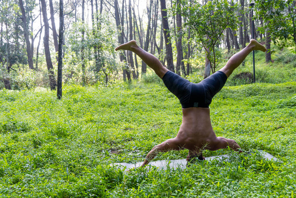 latin american man doing yoga posture, yoga posture, Bee backwards Prsthatah Brahmara, mexico, forest - Photo, Image