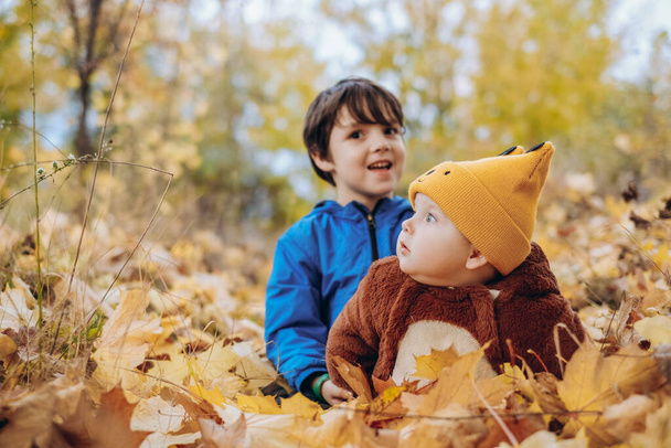 Two children are sitting in yellow leaves in the park for a walk. Family autumn walk in the evening in the park with children. Happy motherhood. - Zdjęcie, obraz
