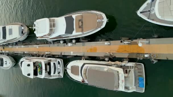 Aerial drone video shot in vertical orientation Miami Beach yachts in marina - Footage, Video