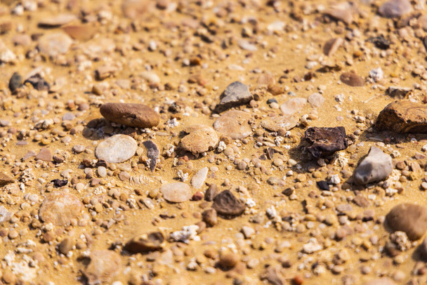 Wadi al Hitan, Faiyum, Egypt. Close up view of the desert floor at Wadi el-Hitan paleontological site. - Foto, Bild
