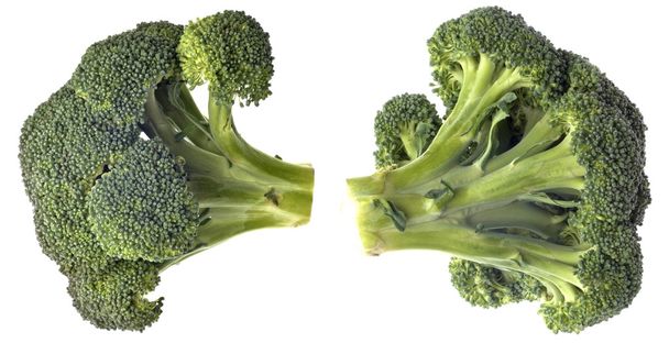 Brócoli aislado
 - Foto, imagen