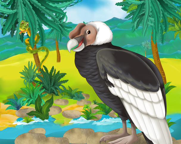 Cartoon condor - Φωτογραφία, εικόνα