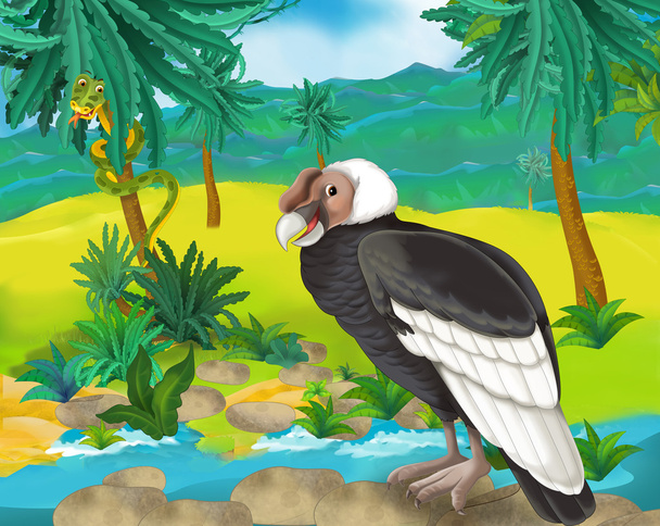 Cartoon condor - Fotoğraf, Görsel