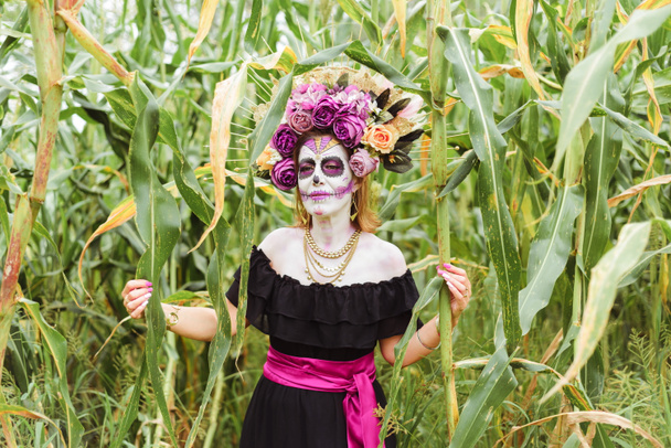Portrét ženy vymyšlený jako katrina na kukuřičném poli. Mexická žena reprezentující charakter dne mrtvých. - Fotografie, Obrázek