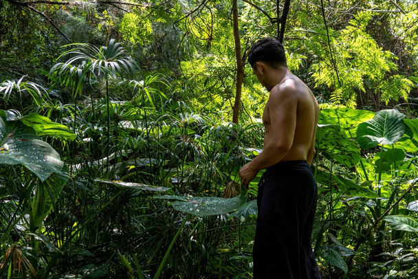 jeune homme, faire du yoga ou reiki, dans la forêt végétation très verte, au Mexique, guadalajara, bosque colomos, hispanique, Amérique latine - Photo, image