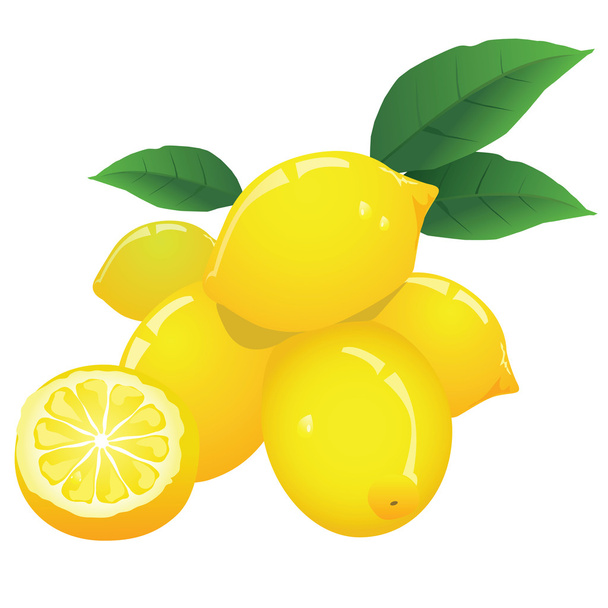 Zitronen - Vektor, Bild