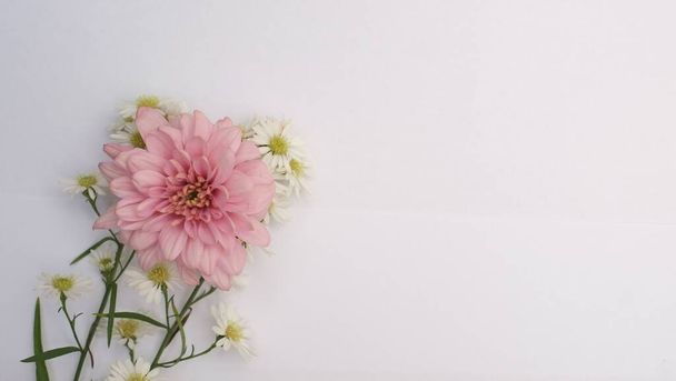 różowy kwiat izolowany na białym tle - Zdjęcie, obraz