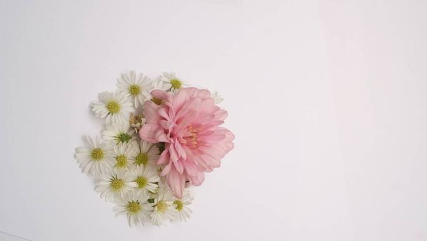 Grupo de flores cor de rosa e branco isolado em branco - Foto, Imagem