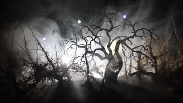 Gespenstisch dunkle Landschaft mit Silhouetten von Bäumen im Sumpf in nebliger Nacht. Nacht geheimnisvoller Wald und dramatischer bewölkter Nachthimmel - Filmmaterial, Video